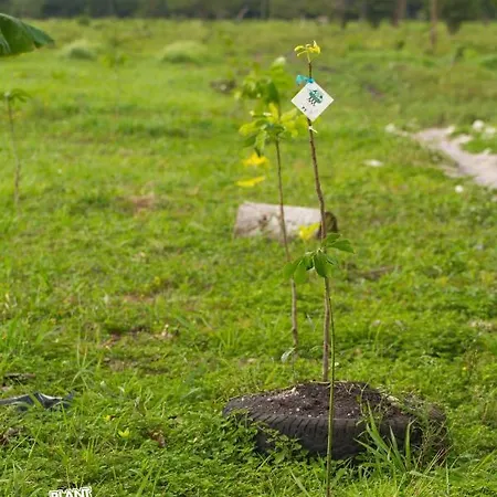 Nyaraló Karowlina Cozy House 1-4 Person Berlin