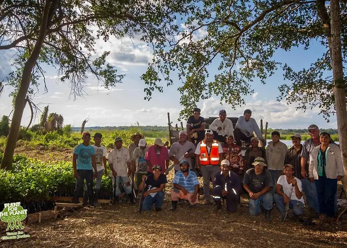 Karowlina Cozy House 1-4 Person Tatil Evi