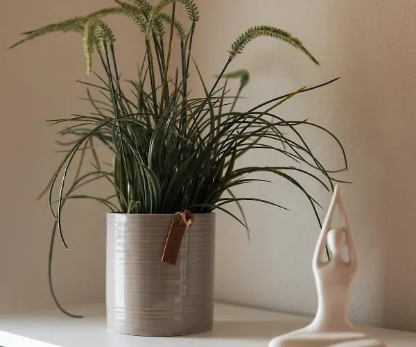 Karowlina Cozy House 1-4 Person