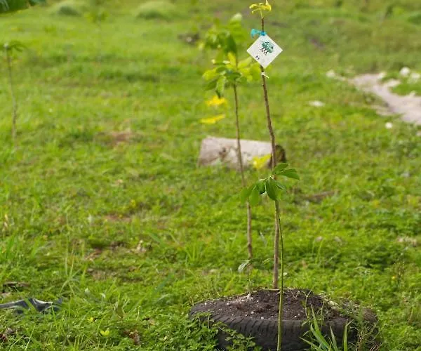 Vakantiehuis Karowlina Cozy House 1-4 Person Berlijn