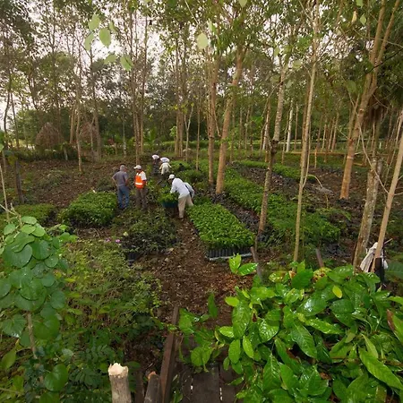 Karowlina Cozy House 1-4 Person Hébergement de vacances