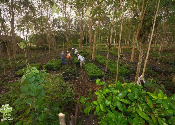 Karowlina Cozy House 1-4 Person Hébergement de vacances